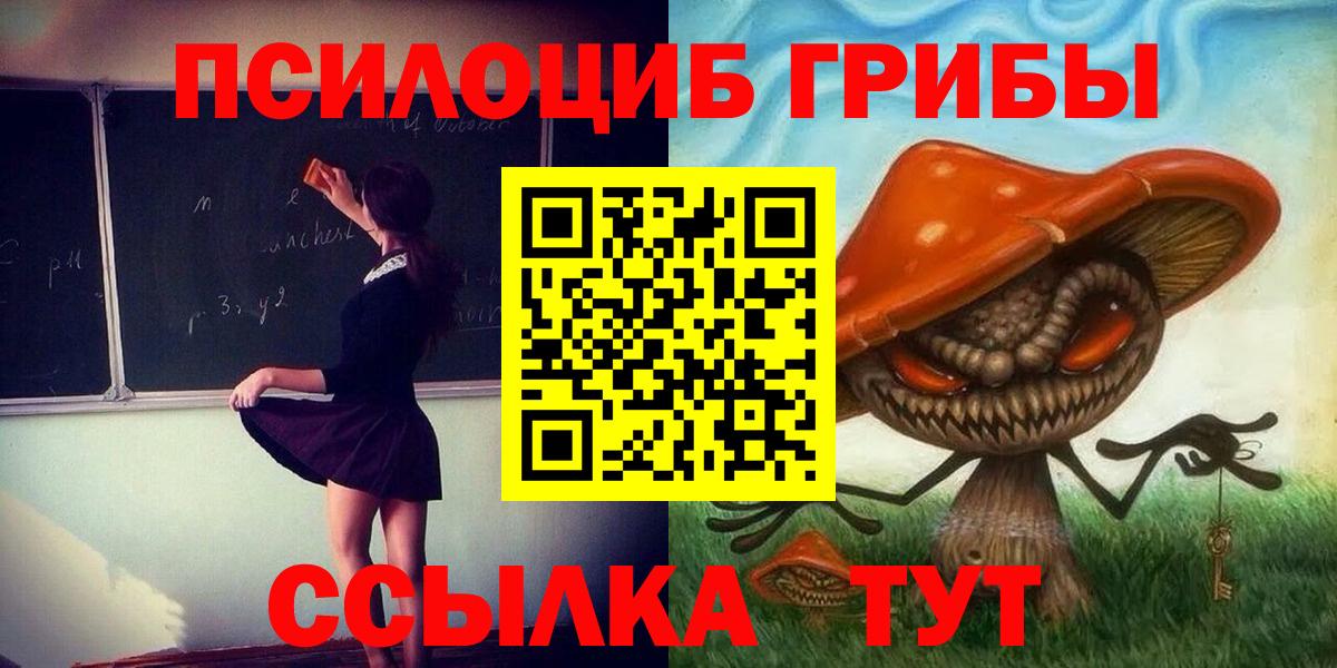 Элиста  Псилоцибиновые грибы Psilocybine cubensis  Галлюциногенные грибы мухоморы  Вход с VPN 